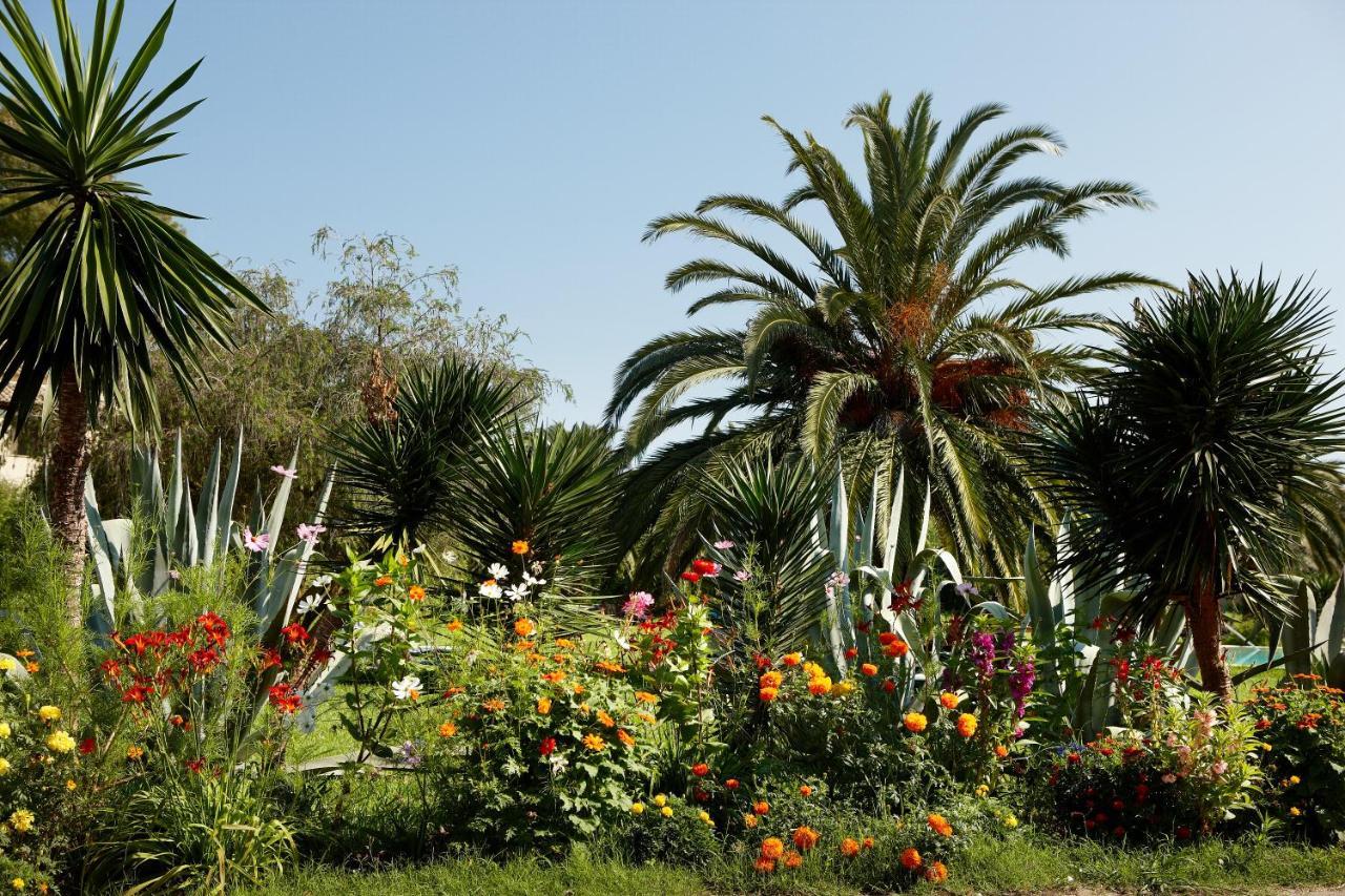 Hotel St.george's Bay Country Club & Spa Acharavi (Corfu)